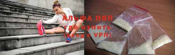 стаф Абинск