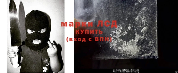 ешки Осинники
