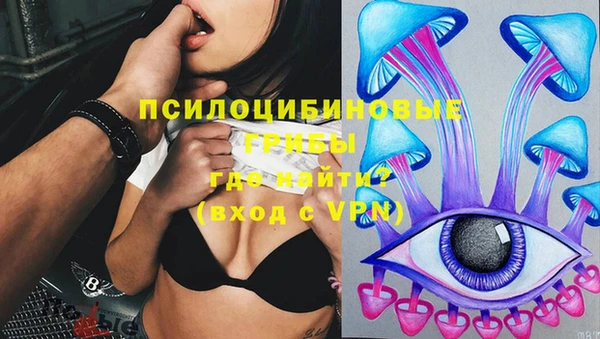 стаф Абинск