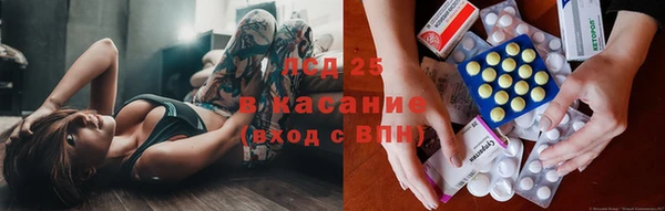 стаф Абинск