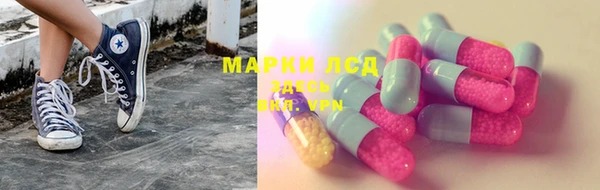 стаф Абинск
