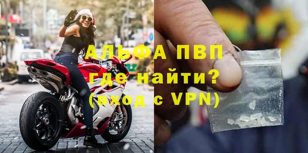 стаф Абинск